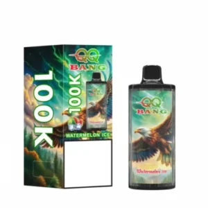 QQ Bang 100k Vape Puffs 100000 Disposable Vape | 650mAh Type-C Rechargeable E-Cigarette