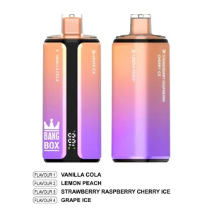 BANG BOX 160000 Puffs 160k 4-in-1 Rechargeable Disposable Vape 80mL Pre-filled E-Liquid | 10 Flavors